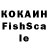 Галлюциногенные грибы Psilocybine cubensis Kolodiydavid