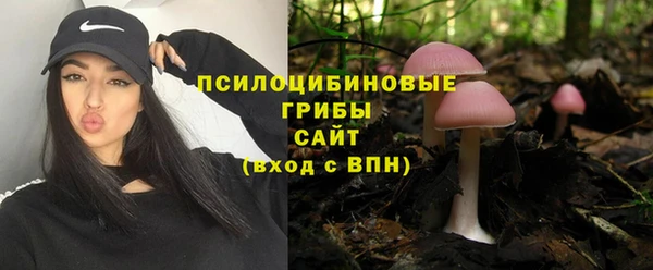 дживик Баксан