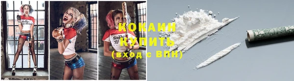 ГАЛЛЮЦИНОГЕННЫЕ ГРИБЫ Белоозёрский
