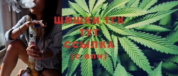 трава Аркадак