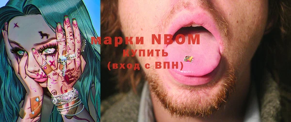 стаф Балахна