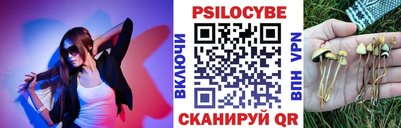 Псилоцибиновые грибы Psilocybe Туринск