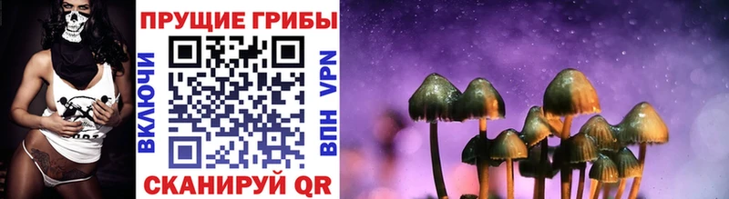 Псилоцибиновые грибы мицелий  Купить где  Туринск 